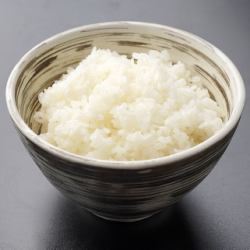 ごはん