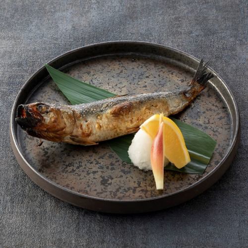 北海道産　トロイワシの炭火焼き