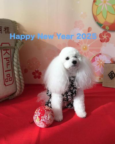 皆さま、新年明けましておめでとうございます。

今年は飛躍の年にしたいです！

まずは、1月19日の日曜日に地元【松原テラス】にて行われるイベントへの占いでの参加、次に手作りパン教室や料理教室の新企画を練っております♪

今年もたけのわ食堂をどうぞ宜しくお願い申し上げます🙇‍♀️

#まいぷれ南河内
#神野美伽さん
#ラッパと娘
#来年5月【SIZUKO】に皆んなで会いに行きましょ
#なぜずっとラッパ🎺と娘なのか❓
#来年5月に嬉しい事があるからぁ〜
#精一杯応援したいと思うのです
#ランチタイムでお待たせしてしまい申し訳ありません
#お席が空いたら携帯電話にご連絡致します
#たけのわ食堂 #河内松原カフェ #松原カフェ #和カフェ #松原紅茶 #松原コーヒー #松原ランチ #ランチ #ロンネフェルト #サイフォン #カレー #ローストビーフ #カレー #テイクアウト #ウーバーイーツ #Ubereats #menu #占い #相性 #おみくじ #タロット #四柱推命