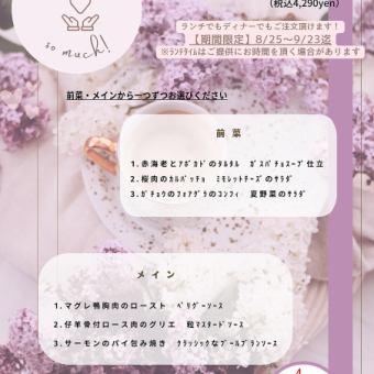 [To express our gratitude for our 6th anniversary☆] 6th Anniversary Thank You Course