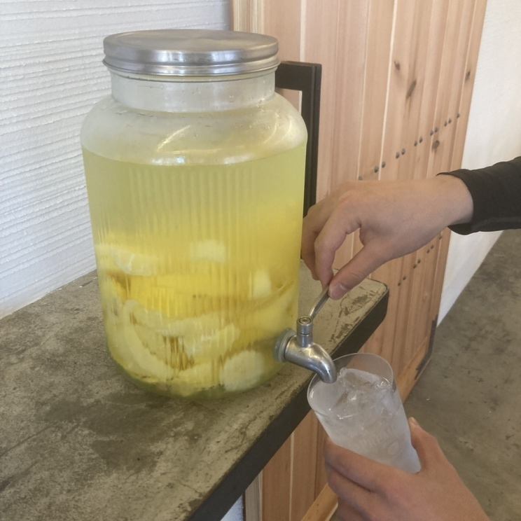 平日お得な単品飲み放題は自家製レモンサワーも飲み放題！