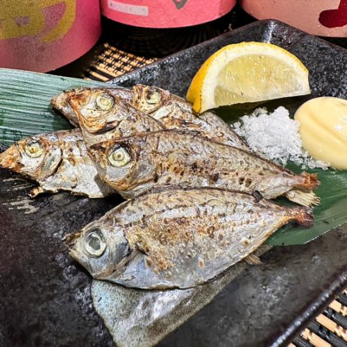 Whole dried Nirogi from Miyagi Prefecture