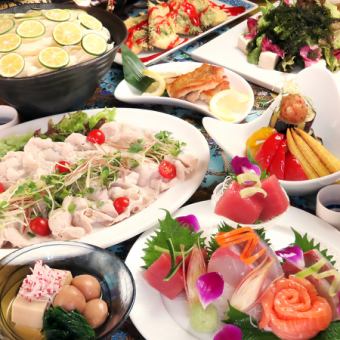 【7・8月限定】平日25名～貸切OK！鮮魚・夏野菜の和食コース4,000円（税込）★120分飲み放題付