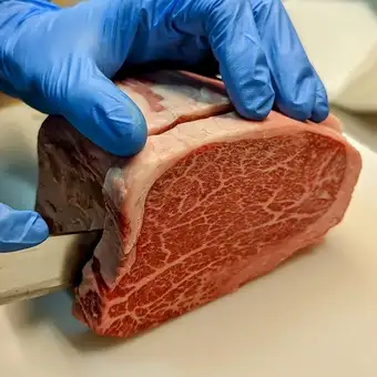★限定★「特撰黒毛和牛ヒレお一人150gとしっかり牛肉コース」【飲み放題付き】15,000円(税込)
