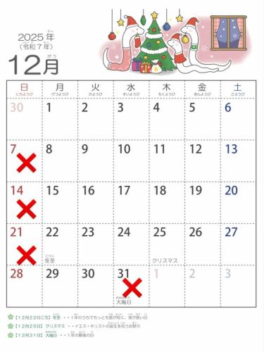 사누키가 토치입니다!
항상 방문해 주셔서 감사합니다 😊

올해도 마침내 마지막 달이었습니다 😳
12월은 7일, 14일, 21일의 일요일에 더해 31일도 휴일입니다 😴
28일 일요일은 영업하고 있습니다✨️

11월 12월 한정 우동
【 소 앙카케 우동 1280엔⠀】
【 가츠카레 우동 1480엔 】
꼭 먹으러 오세요 ✨

쇠고기 가케 우동은 앞으로의 추운 날에 몸이 따뜻해지는 부드러운 맛입니다 ☺️
커틀릿 카레 우동은 인기있는 카레 우동에 바삭 바삭한 커틀릿을 얹어 버렸습니다! 😋
⁡
송년회의 불 냄비 예약도 받고 있습니다!

예약도 내점도 기다리고 있습니다😊

∞∞∞∞ ∞∞∞∞ ∞∞∞∞ ∞∞∞∞ ∞∞∞∞
사누키가 토치
주소:홋카이도 삿포로시 테이나구 테이나모토마치 이치조 산쵸메 KS빌딩 1F
TEL 011-500-2607
영업시간 18:00~3:00
정기휴일 일요일

당점의 조건
◎가가와현 직송의 코시가 있는 본격 사누키 우동
◎10종류 이상의 우동 메뉴
◎ 국물이 물든 오뎅
◎ 요이치산【기타지마 와인 포크】샤브샤브(예약 필요)

밤늦게까지 영업하고 있으므로 퇴근이나 마신 후에도 꼭
들러주세요.
∞∞∞∞ ∞∞∞∞ ∞∞∞∞ ∞∞∞∞ ∞∞∞∞

#사누키가
#수세미
#수도우동
#사누키우동
#수이나이자카야
#샤브샤브
#5연마
#고기우동
#모구모구사쿠라
#토치챌린지