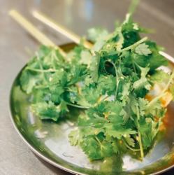 Cilantro and bamboo shoots