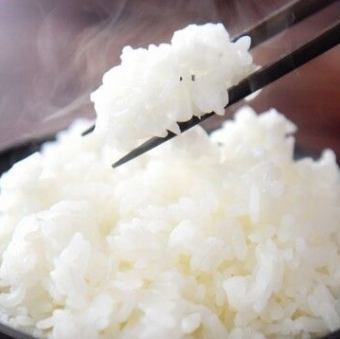 山口県産コシヒカリ