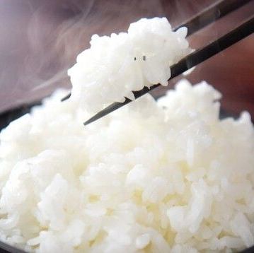 山口県産コシヒカリ