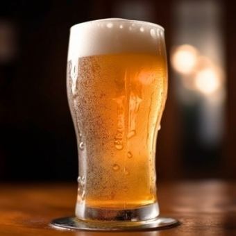 当日OK！【単品飲み放題】生ビール付◎120分3000円(税込)
