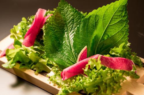 [Seasonal leaf vegetable salad]