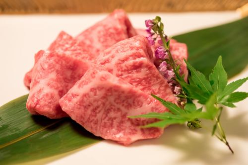 ランチ限定コース　焼肉ランチ　コース