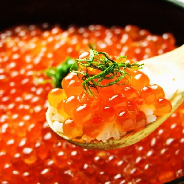 贅沢な一品！北海道産いくらのしょうゆ漬けをご飯にたっぷりと