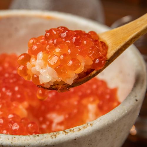 新鮮素材を堪能！