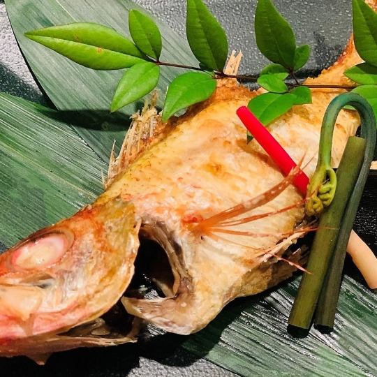 白身魚のトロと称される日本海の高級魚「喉黒」