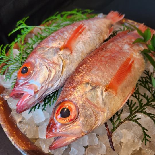 ＜全室個室＞【輝】「喉黒一本姿焼き」「天然岩牡蠣」「新生姜羽釜御飯」など～全9品～