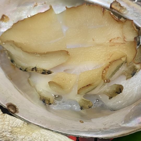 <所有房間均為包房> 【雫】「黑燒鮑魚」「薄切黑喉鱸魚」「小麥鍋煮黑喉鱸魚」等共9道菜品。