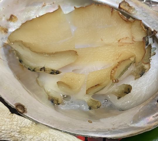 <全室個室>【雫】「鮑焜炉焼き」「喉黒薄造里」「喉黒羽釜炊き御飯」など~全9品~
