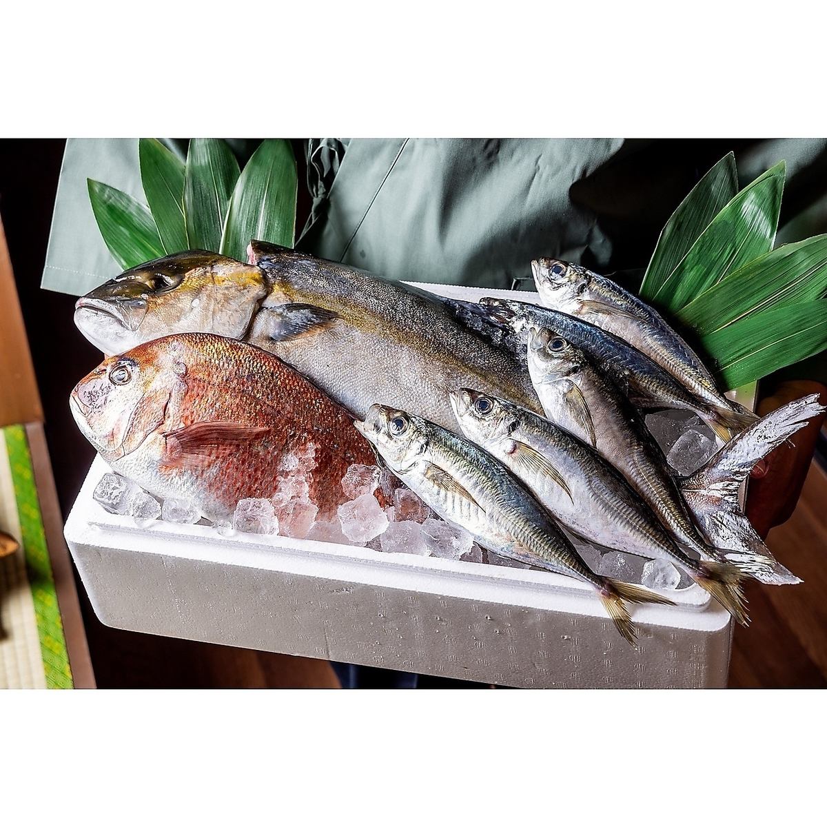 We source fresh seafood ☆ Sashimi is also a signature dish