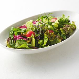 garden salad regular