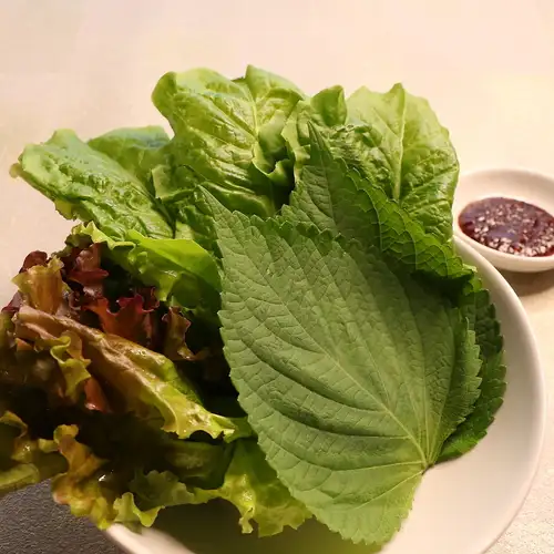 生菜