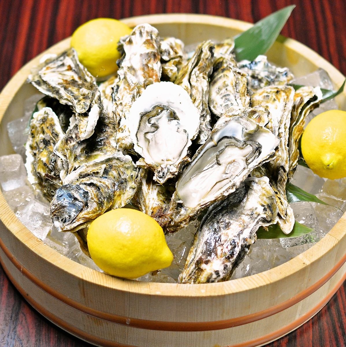 We offer fresh and plump oysters!!