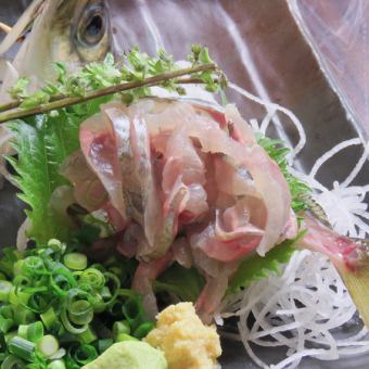 Finishing with mackerel sashimi/live horse mackerel tataki