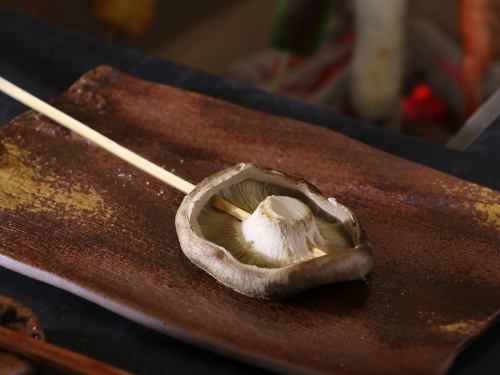 Large shiitake mushrooms from Kokonoe Town