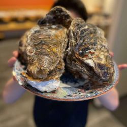 岩牡蠣（時価）