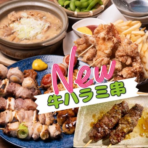 「プラス牛ハラミプラン」