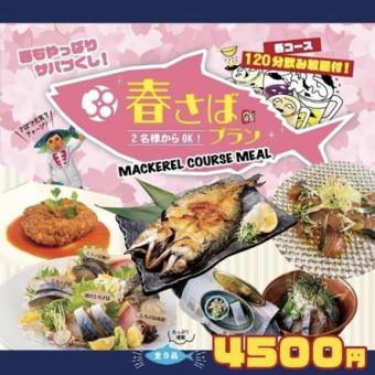■Spring mackerel plan■Mackerel tomato croquette x 4 types of mackerel sashimi [Spring course] 4,500 yen with 2 hours of all-you-can-drink