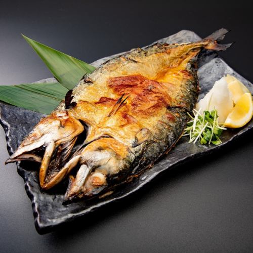 The bigger the tastier! Salt-grilled mega mackerel (1 fish)