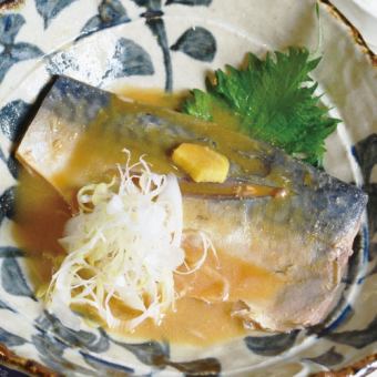 Miso-simmered fatty mackerel