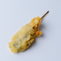 굴