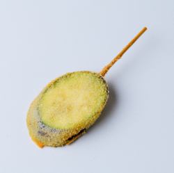 가지