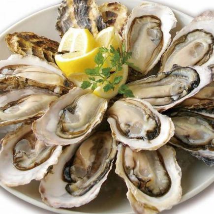 Revived this winter! [All-you-can-eat raw oysters] and [5 popular dishes] 4,980 yen (2 hours) (+500 yen on weekends and holidays)