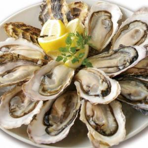생굴 MEGA 모듬 20PIECE
