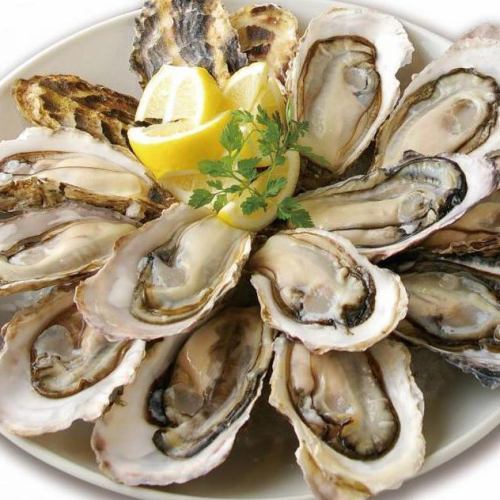 Oysters from all over the country where seasons are collected