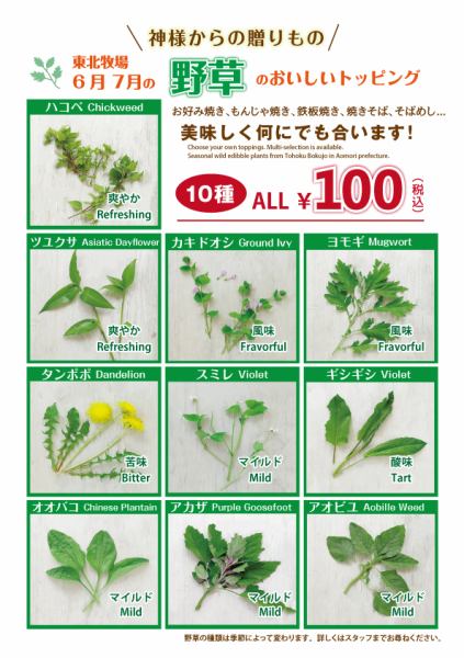 [Delicious toppings of wild grass] Completely pesticide-free wild grass delivered from Tohoku Farm is very popular!