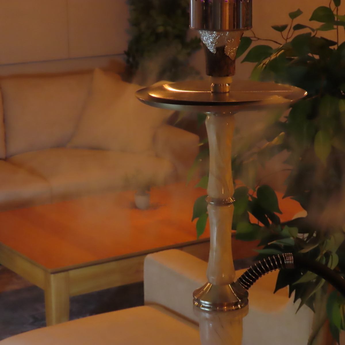 We have sofa seats available that are perfect for couples.