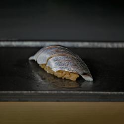 Amakusa gizzard shad