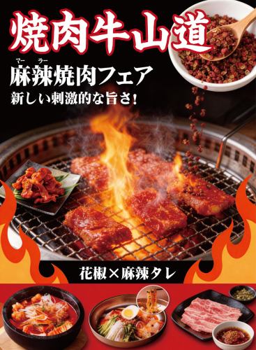 期間限定企画実施中！