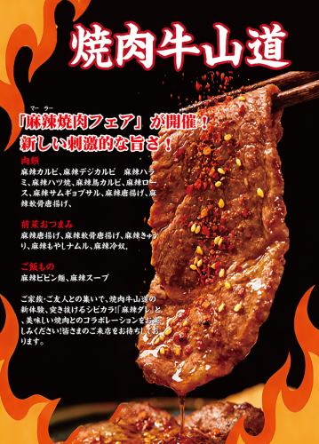 期間限定企画実施中！