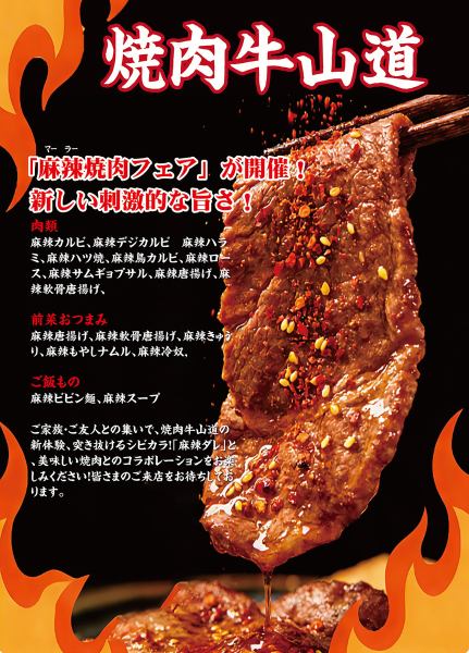 【アラカルトもOK!】肉寿司やA5ランク肉も多く取り揃えております♪デートや接待、女子会にご利用下さい★