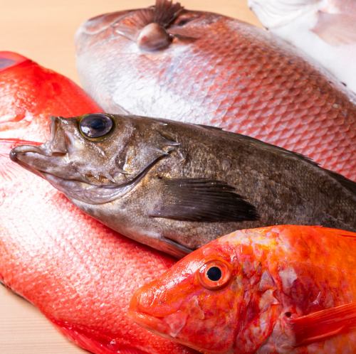 『刺身5点盛り合わせ』新鮮な本マグロの刺身と、肉の旨味あふれる炭火焼きに舌鼓