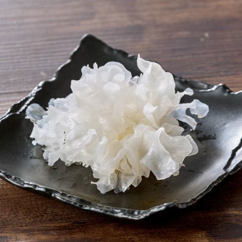 白きくらげ