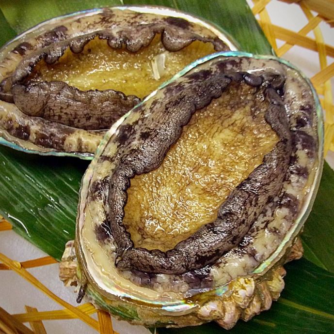 写真 播州居酒屋 櫟 くぬぎ