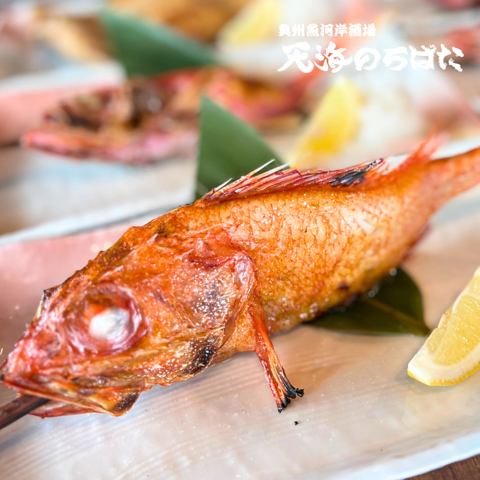 三陸を味わう