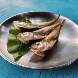 隔夜干沙鱼 3 条