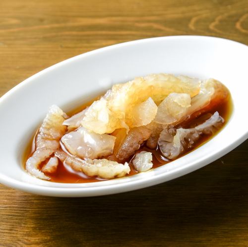 中国水母