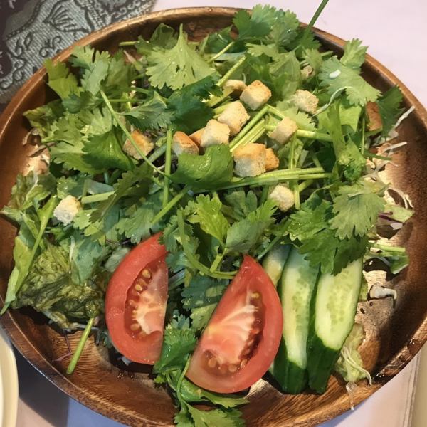 女性に大人気☆パクチーがたっぷり入った【パクチーサラダ】700円はリピート率NO.1！！